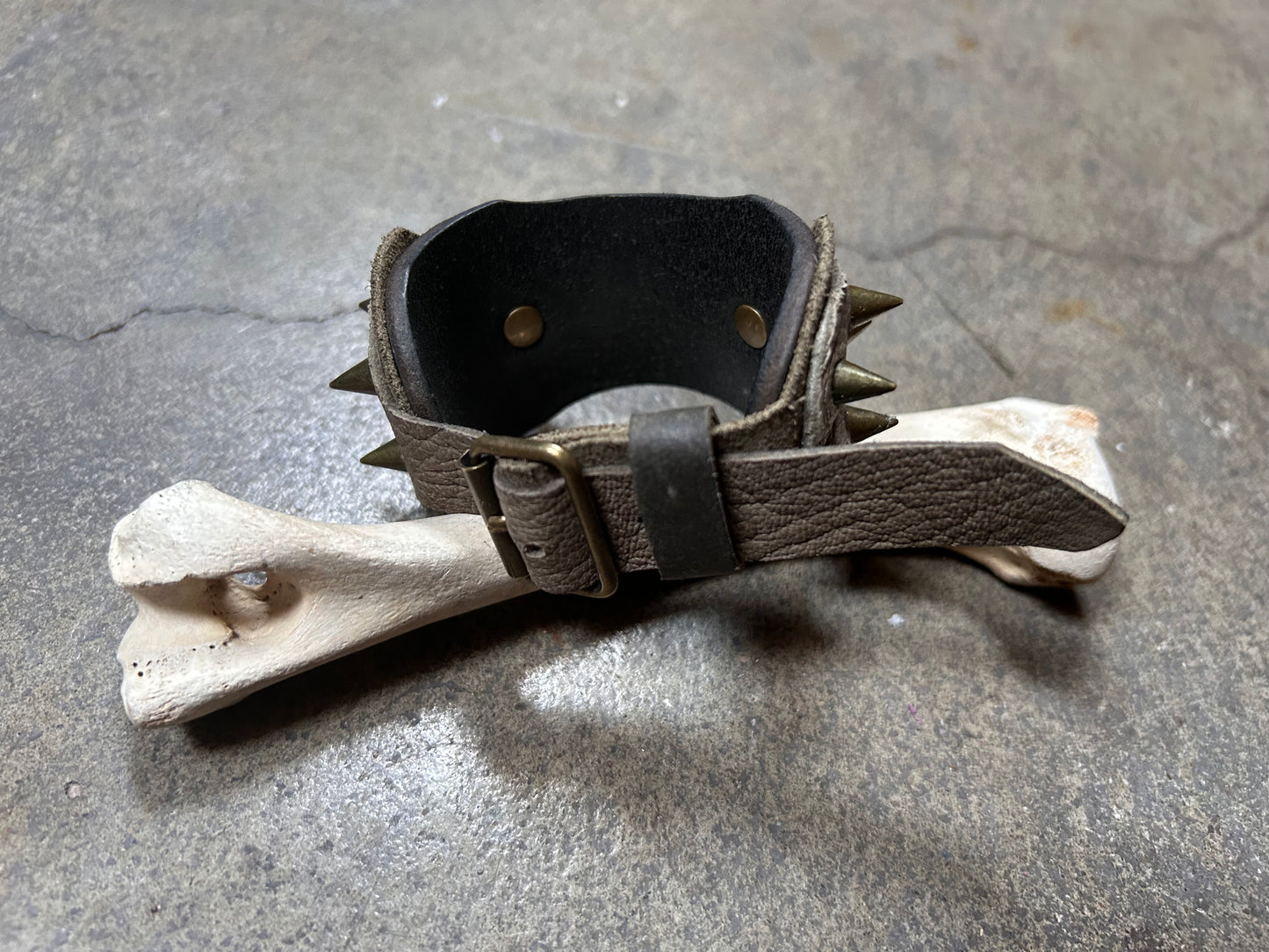 Green Ankylo Bracelet